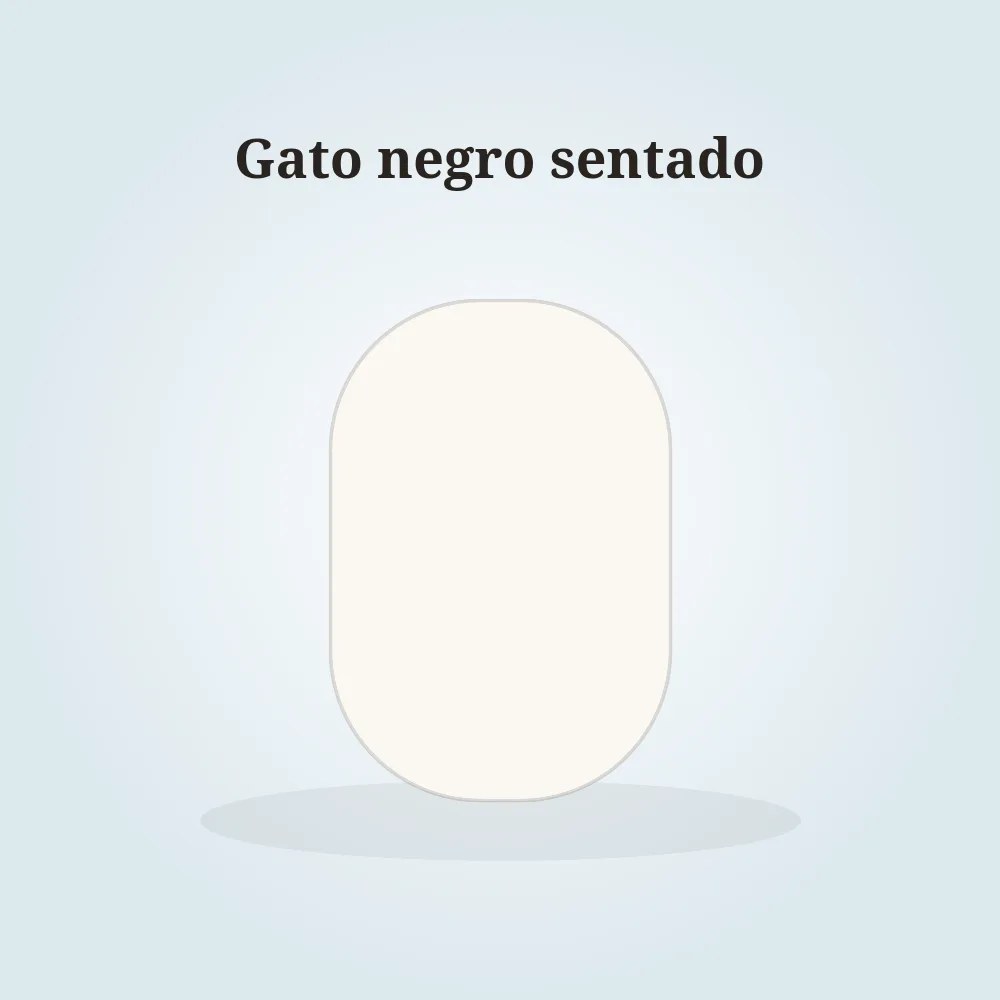 Gato negro sentado